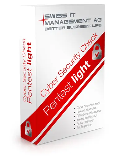 Security Check: Pentest light